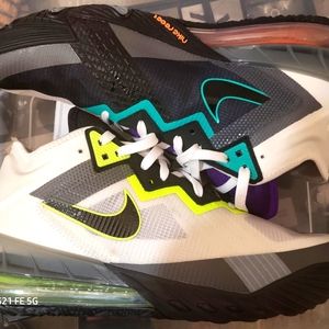 Nike Lebron 18 low AirMax 95 "Greedy"